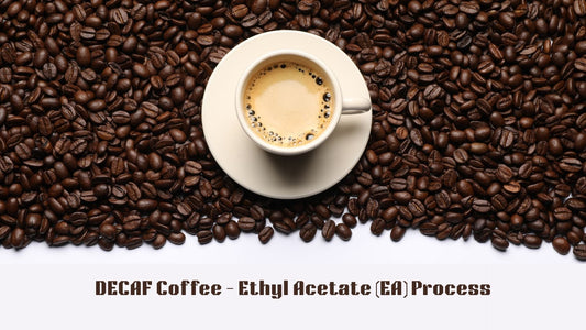 Decaf Coffee Ethyl Acetate (EA) Process.  Image is cup of decaf coffee surrounded by fresh roasted coffee beans.