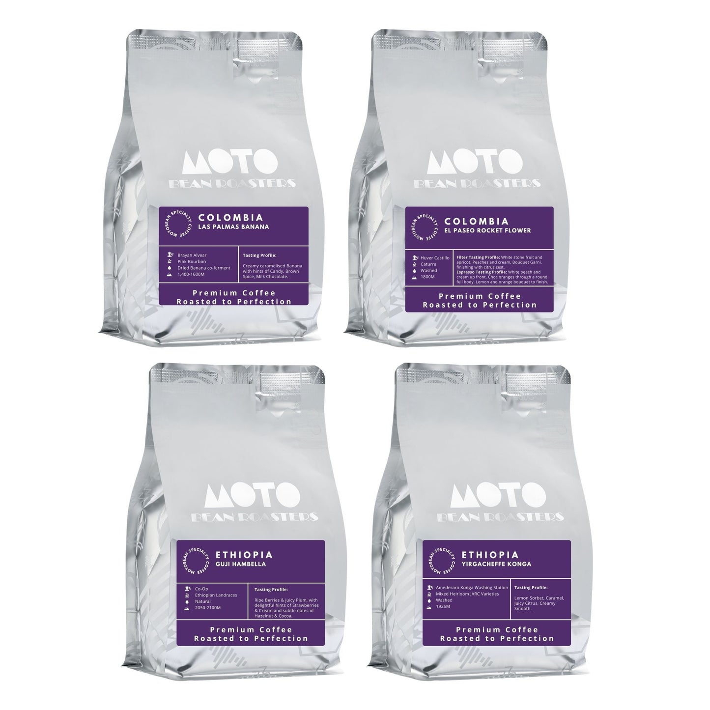 Motobean Speciality Roasters - Roasters Choice Premium Coffee Beans Filter 4x250g