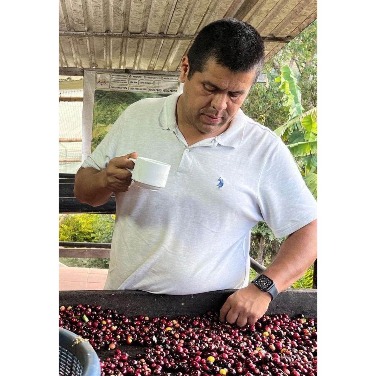 Specialty Single Origin Filter Geisha Coffee Raúl Durán Caficultor (Colombian Coffee Farmer)