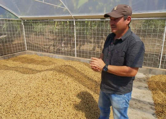 Las Lajas Micromill Costa Rica honey process coffee