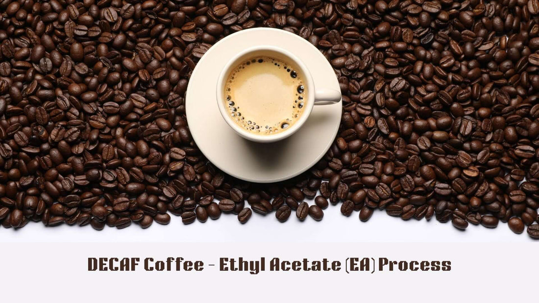 Decaf Coffee Ethyl Acetate (EA) Process.  Image is cup of decaf coffee surrounded by fresh roasted coffee beans.