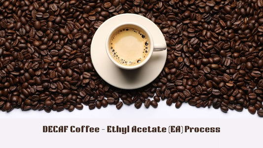 Decaf Coffee Ethyl Acetate (EA) Process.  Image is cup of decaf coffee surrounded by fresh roasted coffee beans.