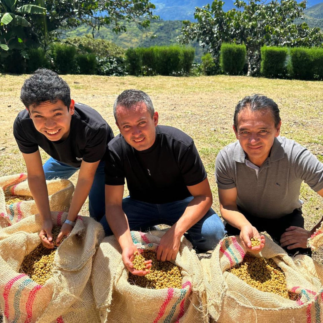 The Math Teacher Who Became a Coffee Farmer: Huver Castillo and the Rocket Flower Lot