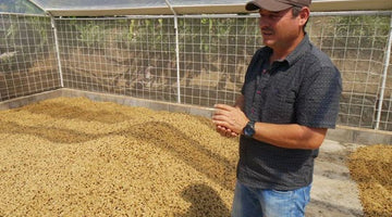 Las Lajas Mill - Instrumental in the Costa Rican specialty and microlot movement.