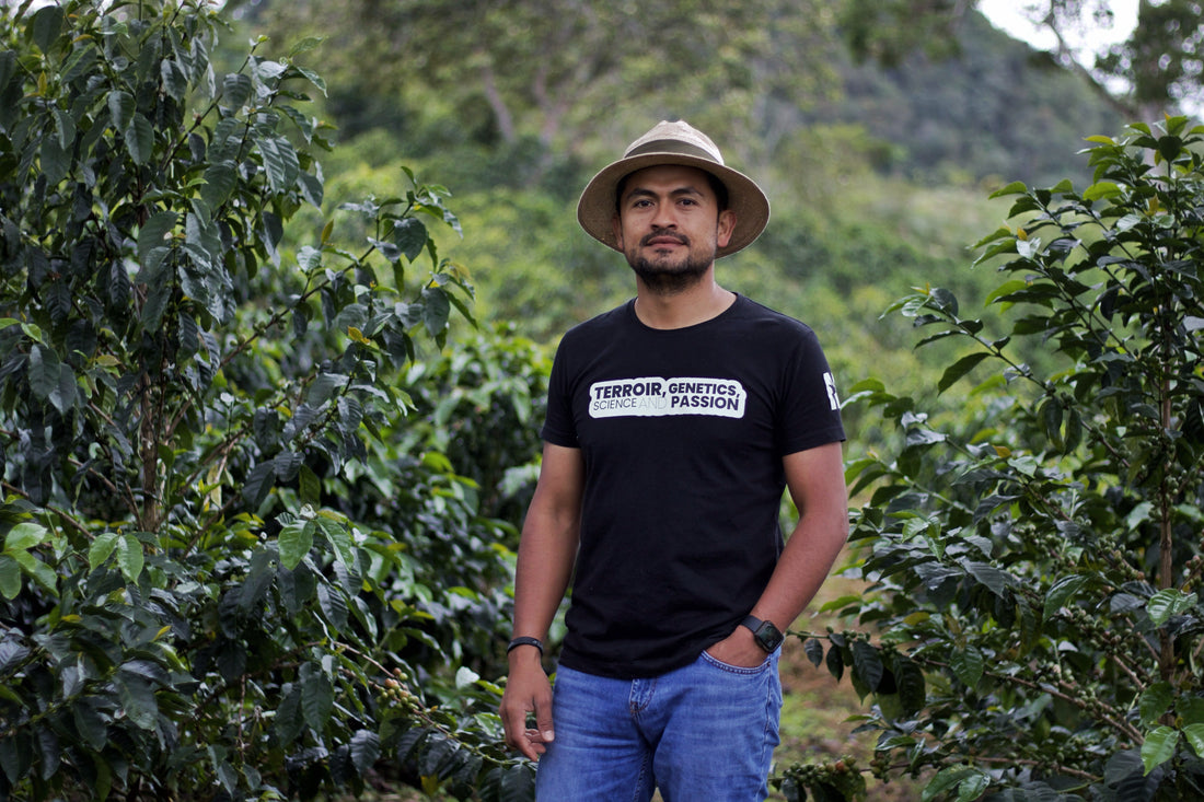 From Heritage to High Innovation: The Legacy of Finca Nogales Specialty Coffee