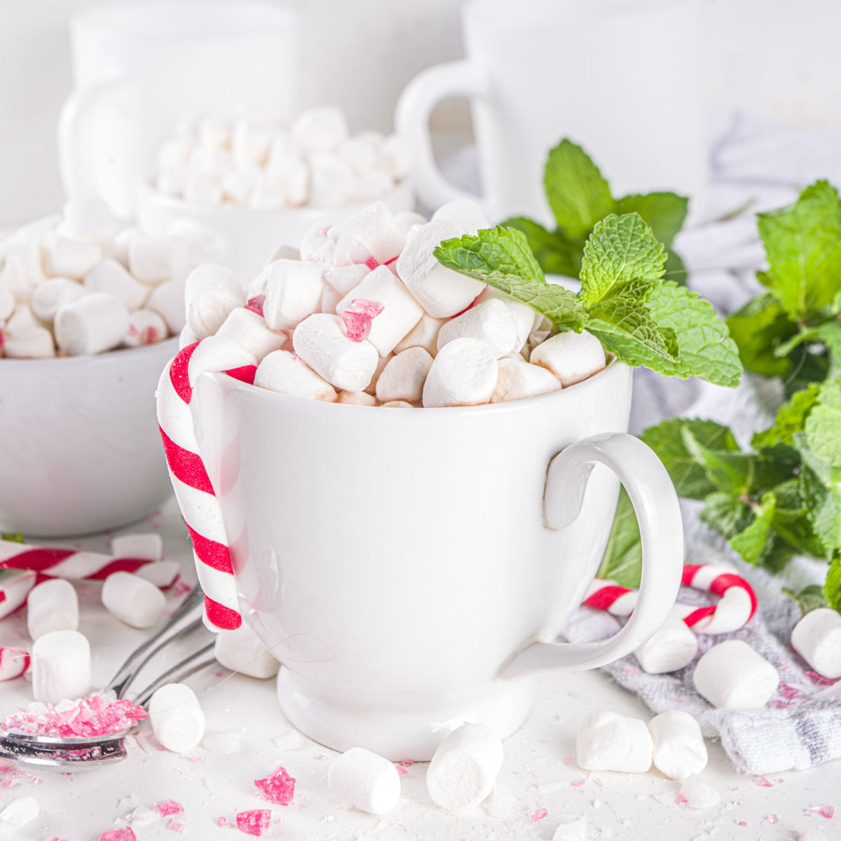 Arkadia Premium Syrup Peppermint served as a hot chocolate in cup with mint leaves and candy canes.