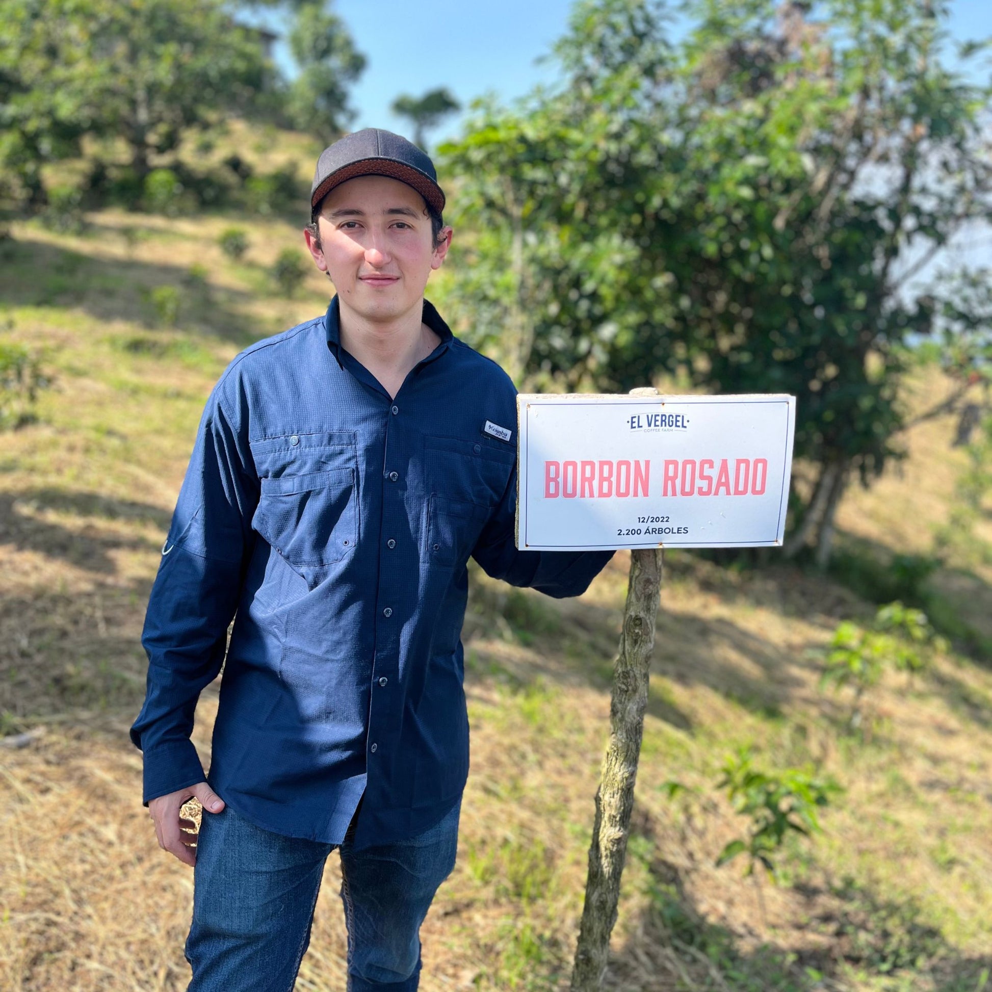 Farm worker on El Vergel Estate Coffee Farm - Sign showing Borbon Rosado Varietal.