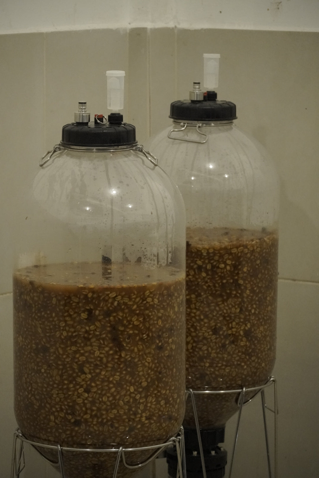 Typica Nogales Fermentation tanks at Los Nogales Huila, Colombia.   Low Caffeine Coffee - co-fermentation process with sourdough starter.