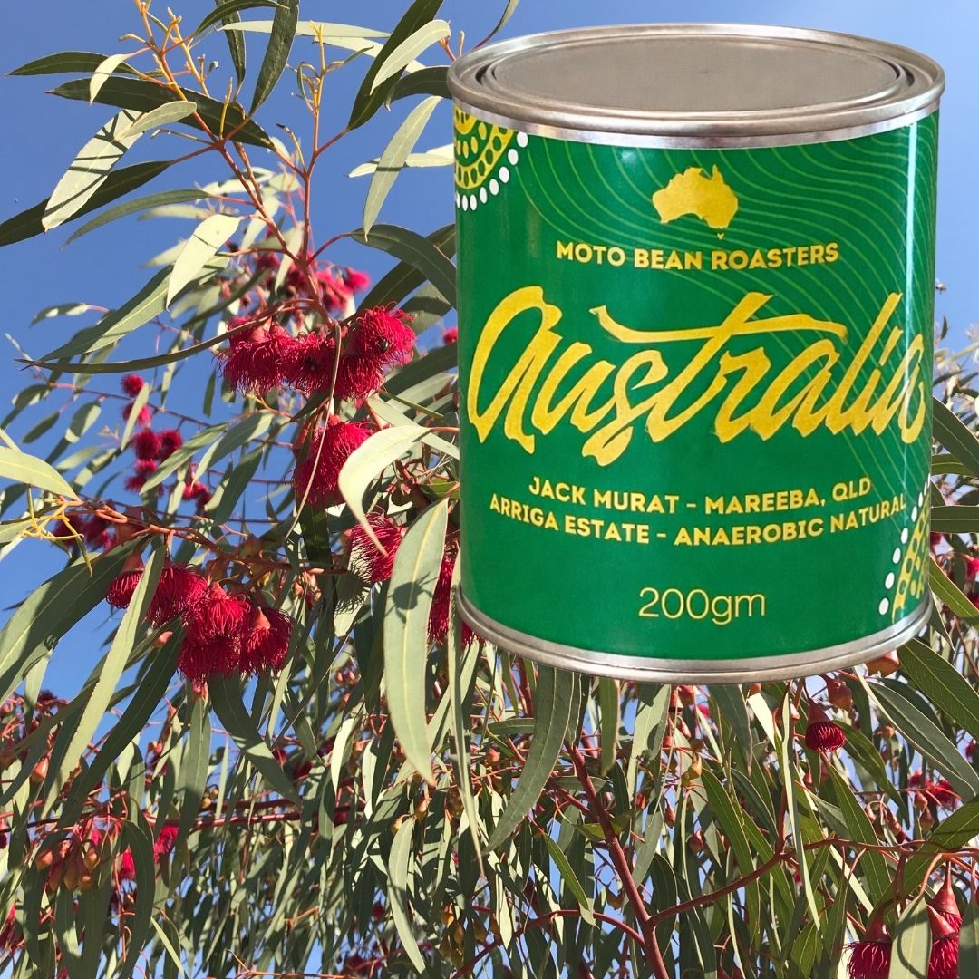 Moto Bean Roasters Australian Coffee Jack Murat Arriga Estate Queensland Anaerobic Batch 27 in limited edition Motobean 200gm tin.Background is Australian red flowering eucalypt under blue skies.